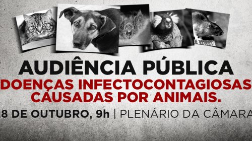 [Audiência Pública irá discutir Doenças Infectocontagiosas transmitidas por animais em Camaçari]