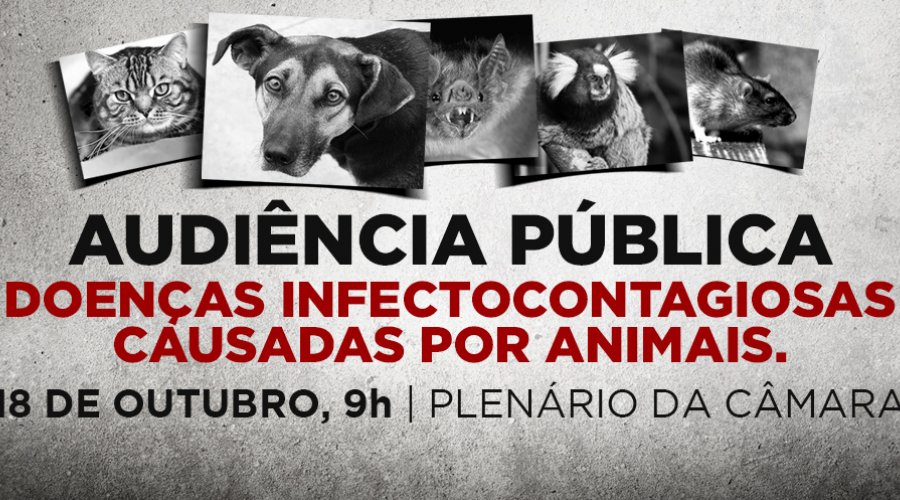 [Audiência Pública irá discutir Doenças Infectocontagiosas transmitidas por animais em Camaçari]