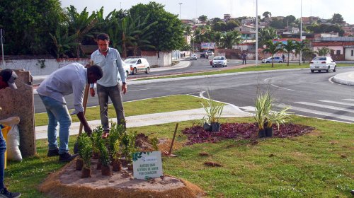 [Camaçari: Avenida Deputado Luis Eduardo Magalhães recebe arborização]