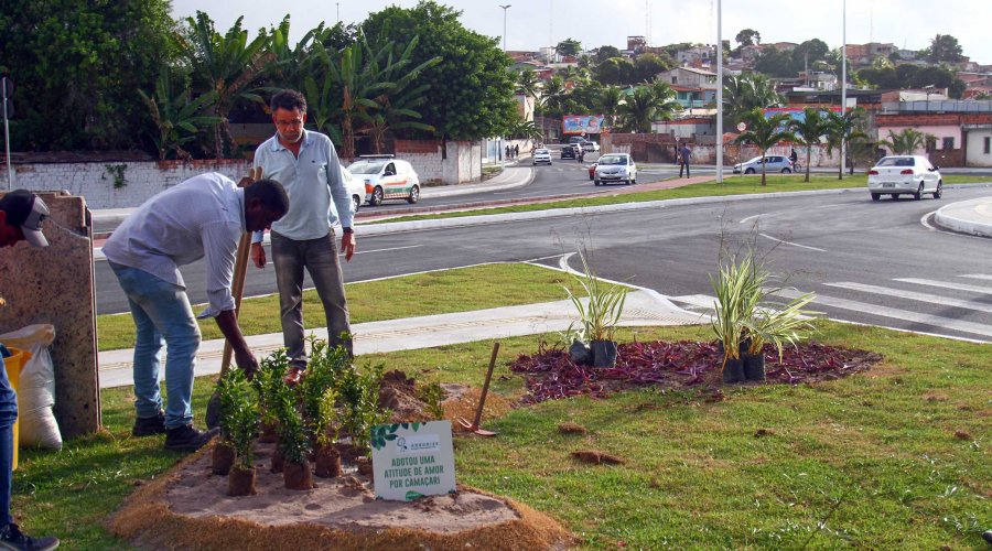 [Camaçari: Avenida Deputado Luis Eduardo Magalhães recebe arborização]