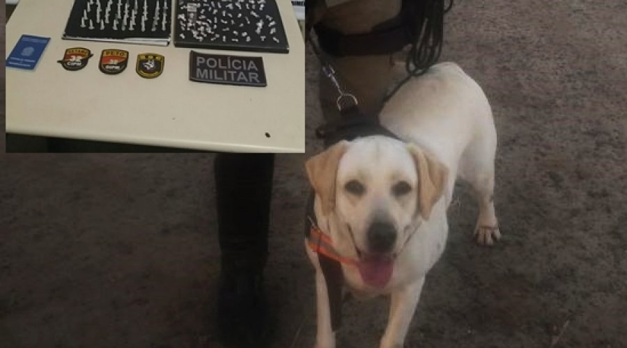[Traficante é preso e droga é apreendida em Pojuca com ajuda de cão farejador]