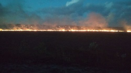 [VÍDEO: Defesa Civil descarta causas naturais em incêndio quilométrico em Arembepe]