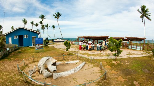 [Centro de visitantes do projeto Tamar é reaberto em Arembepe]