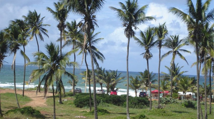 [Chegou o verão! A previsão é de sol com chuvas isoladas ]