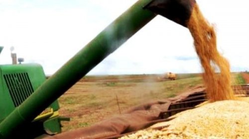 [IBGE: safra baiana este ano deve ser 3,5% maior que a de 2019]