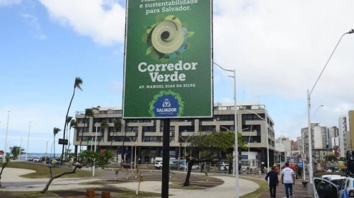 [Salvador lança programa de arborização com plantio de árvores na Av. Manoel Dias]